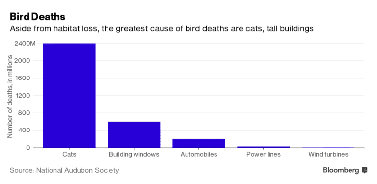 Bird Deaths - Reurasia