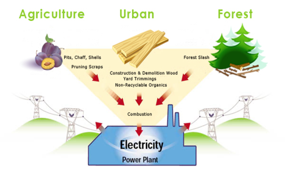 Biomass Energy Biomass