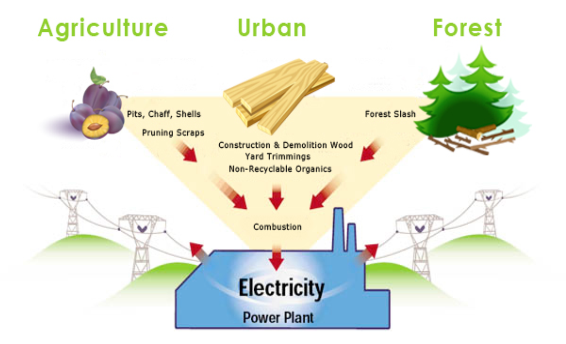 biomass energy process