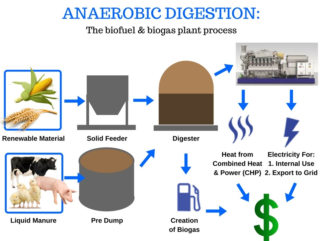 Green Biogas - Reurasia