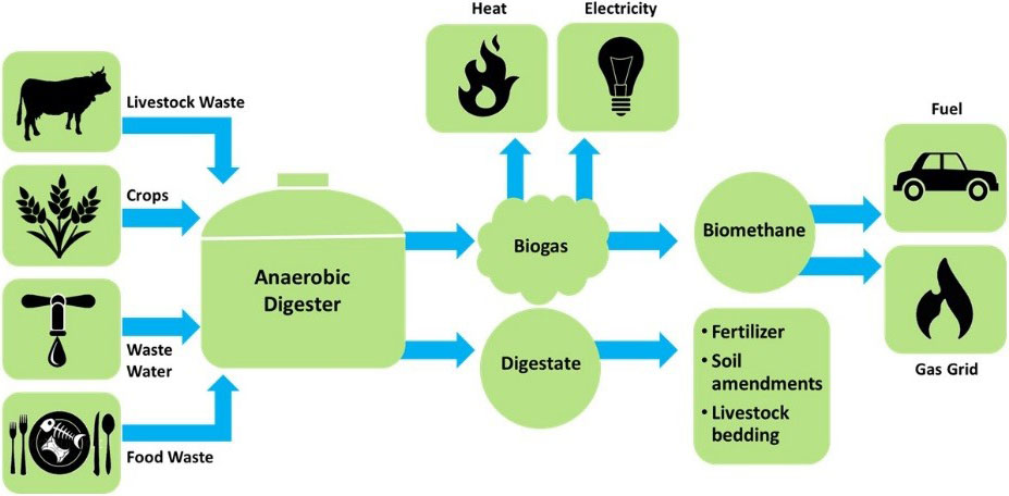 Biogas Energy - Reurasia
