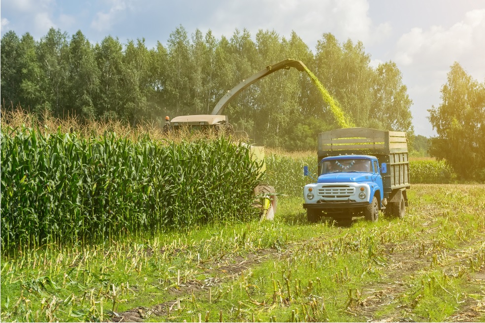 Biogas Harvest - Reurasia