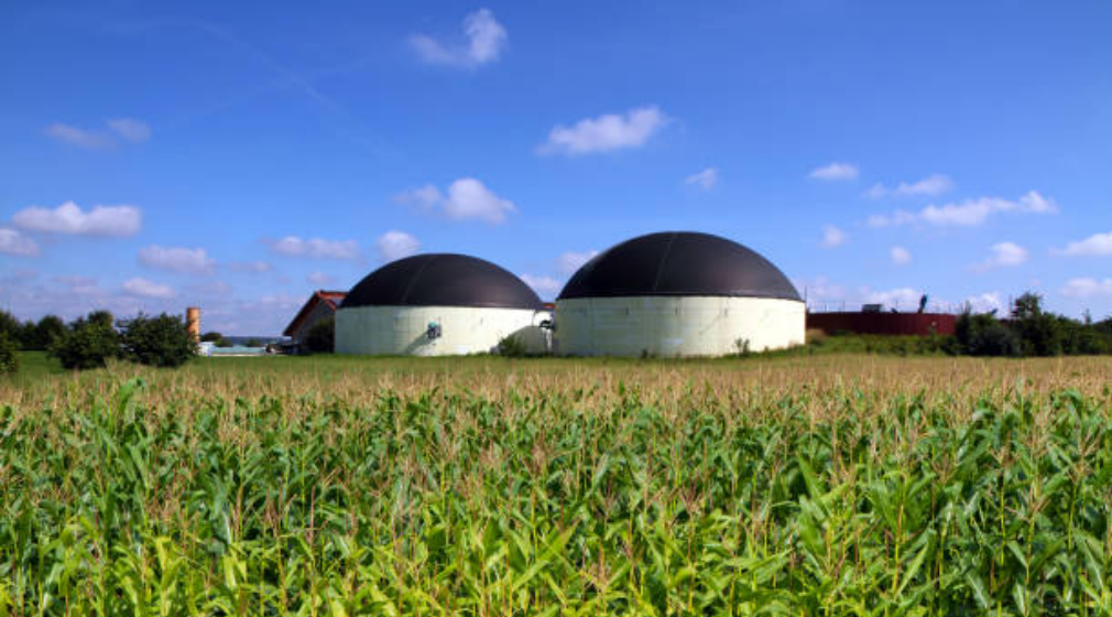  Renewable Like Biogas - Reurasia