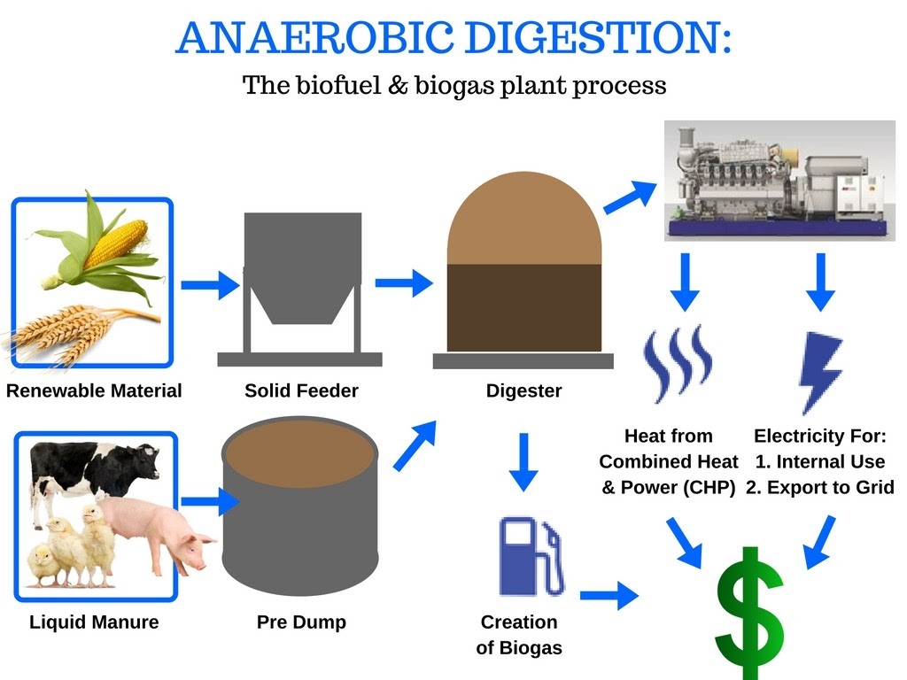 Biogas production through anaerobic co-digestion of rice husk and