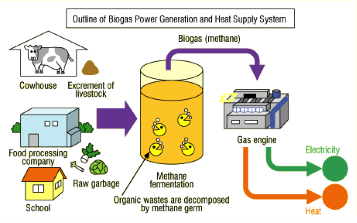 biogas production process steps        <h3 class=