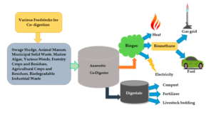 Treatment Process