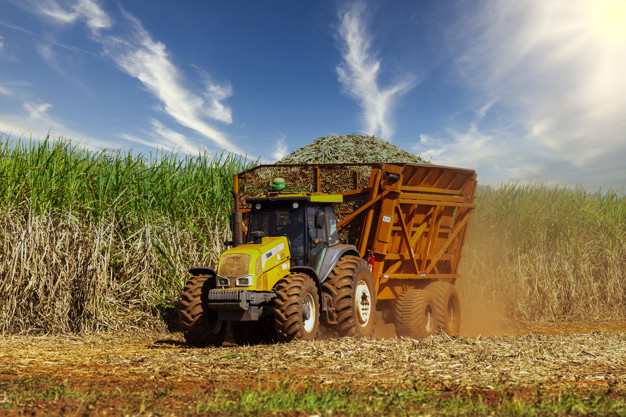 How Biomass Is Powering Communities