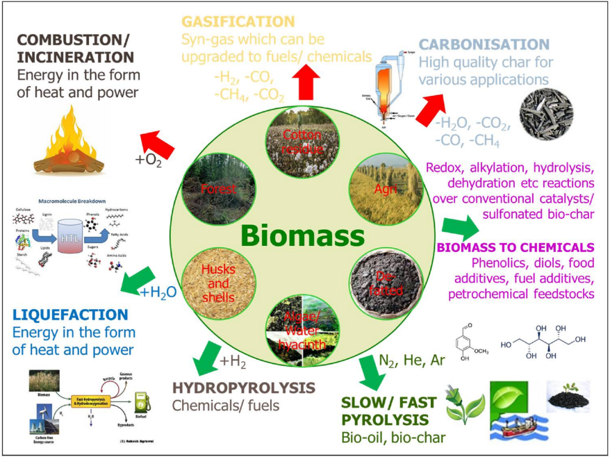 Biomass Powering - Reurasia