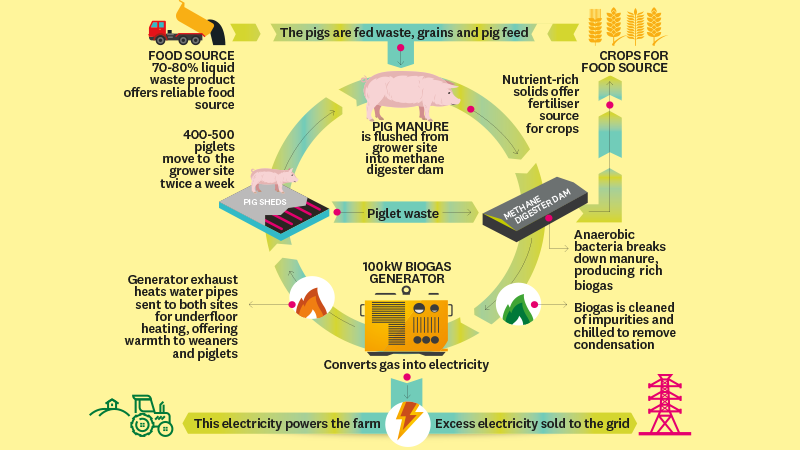 Waste Into Rich Resources