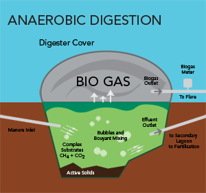 anaerobic digester - Reurasia