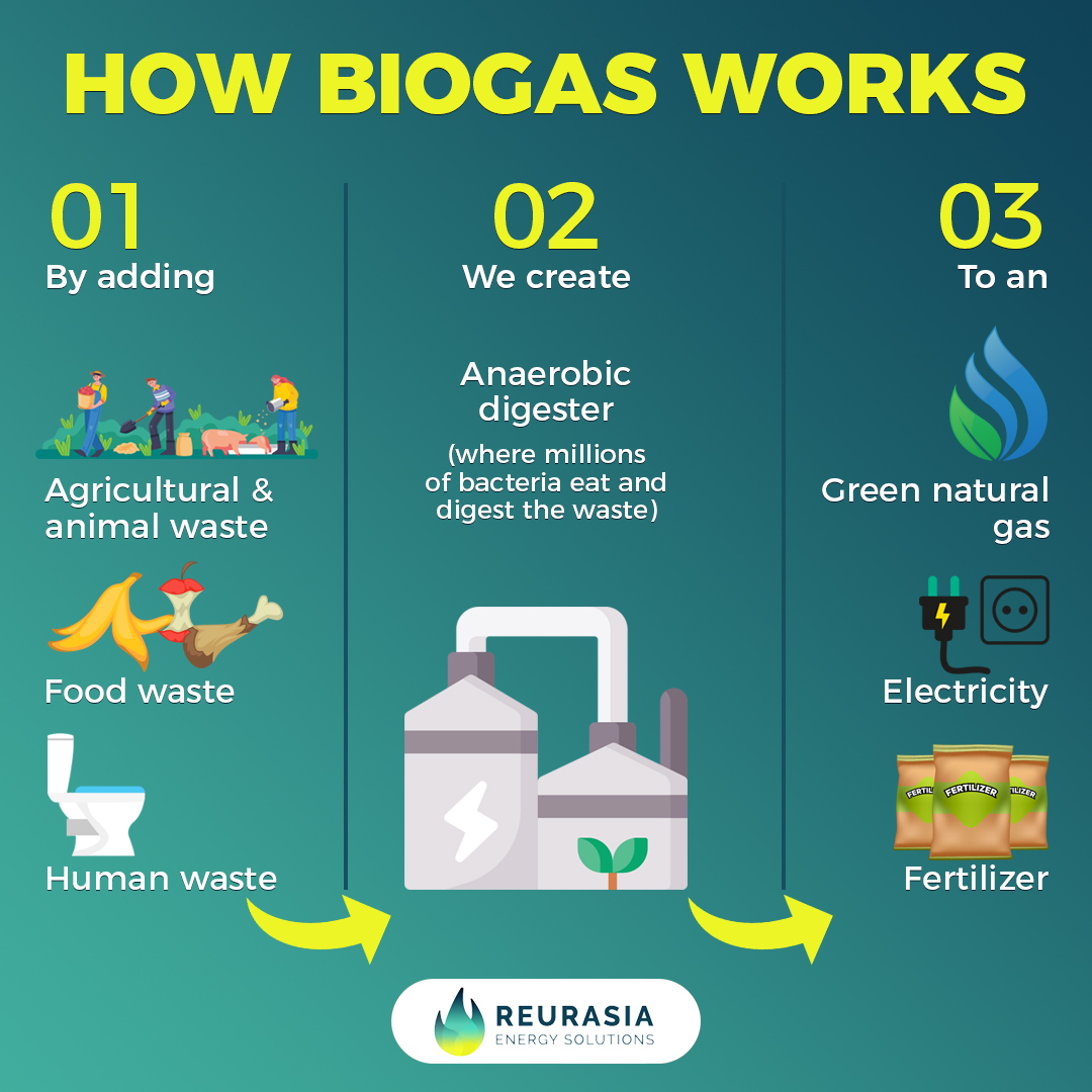 how biogas works