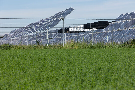 solar panels and plants on farmland