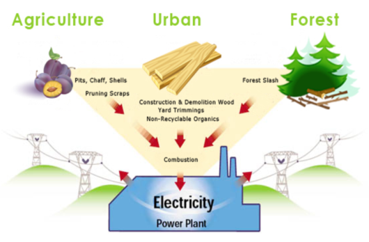 Biomass Energy Biomass